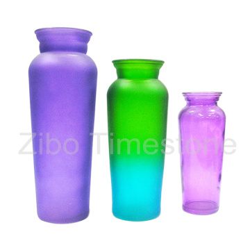 Glass Vase for Home Decoration (TM3518)